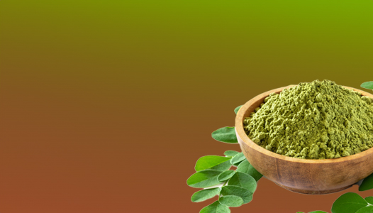 Moringa Produkte vom Baum des Lebens
